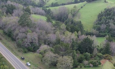 SE VENDE FUNDO EN SECTOR TRANAPUENTE DE 12,3 HAS