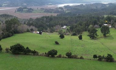 SE VENDE FUNDO EN SECTOR TRANAPUENTE DE 12,3 HAS