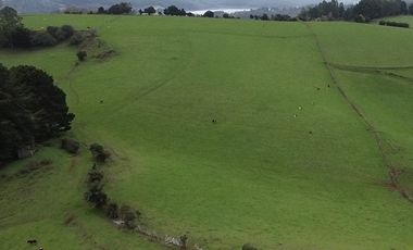 SE VENDE FUNDO EN SECTOR TRANAPUENTE DE 12,3 HAS