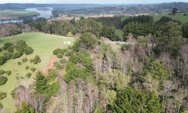 SE VENDE FUNDO EN SECTOR TRANAPUENTE DE 12,3 HAS