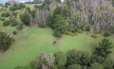 SE VENDE FUNDO EN SECTOR TRANAPUENTE DE 12,3 HAS