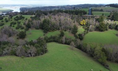 SE VENDE FUNDO EN SECTOR TRANAPUENTE DE 12,3 HAS