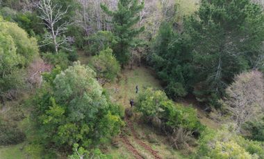 SE VENDE FUNDO EN SECTOR TRANAPUENTE DE 12,3 HAS