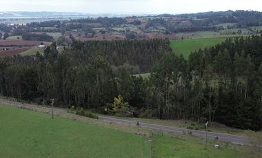 SE VENDE FUNDO EN SECTOR TRANAPUENTE DE 12,3 HAS