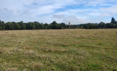 PARCELA INDIGENA DE 3 HECTAREAS