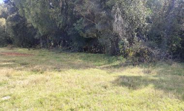 PARCELA INDIGENA DE 3 HECTAREAS