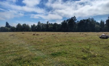 PARCELA INDIGENA DE 3 HECTAREAS