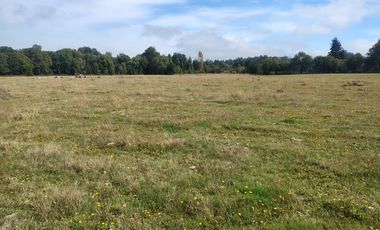 PARCELA INDIGENA DE 3 HECTAREAS