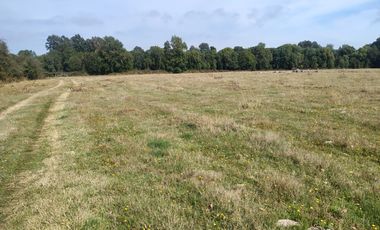 PARCELA INDIGENA DE 3 HECTAREAS