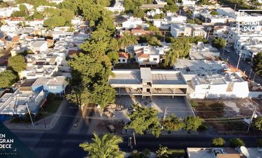 Locales en Renta Plaza La Terraza Chapultepec