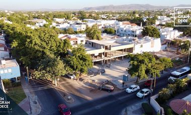 Locales en Renta Plaza La Terraza Chapultepec