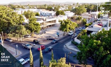 Locales en Renta Plaza La Terraza Chapultepec