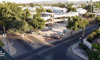Locales en Renta Plaza La Terraza Chapultepec