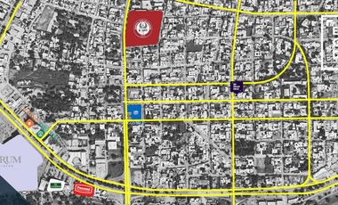 Locales en Renta Plaza La Terraza Chapultepec