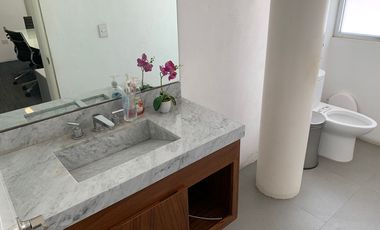 Locales Comerciales en Renta Plaza Punto Cultiva Agribusiness Center, 200 Cajones de Estacionamiento, Hotel Ibis, Starbucks, Bancos, Alto Flujo vial.