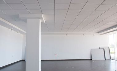 Locales Comerciales en Renta Plaza Punto Cultiva Agribusiness Center, 200 Cajones de Estacionamiento, Hotel Ibis, Starbucks, Bancos, Alto Flujo vial.