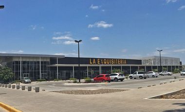 Locales Comerciales en Renta Plaza Punto Cultiva Agribusiness Center, 200 Cajones de Estacionamiento, Hotel Ibis, Starbucks, Bancos, Alto Flujo vial.