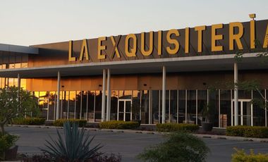 Locales Comerciales en Renta Plaza Punto Cultiva Agribusiness Center, 200 Cajones de Estacionamiento, Hotel Ibis, Starbucks, Bancos, Alto Flujo vial.