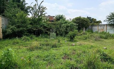 Terreno en Venta Col Vicente Guerrero Cocoyoc Yautepec Morelos