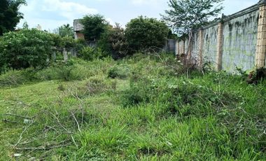 Terreno en Venta Col Vicente Guerrero Cocoyoc Yautepec Morelos