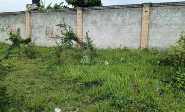 Terreno en Venta Col Vicente Guerrero Cocoyoc Yautepec Morelos