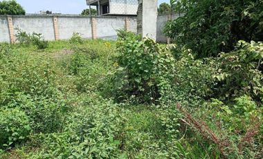 Terreno en Venta Col Vicente Guerrero Cocoyoc Yautepec Morelos