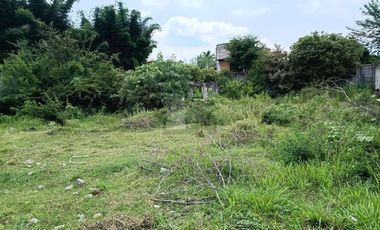 Terreno en Venta Col Vicente Guerrero Cocoyoc Yautepec Morelos