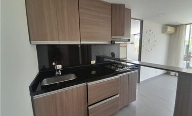 APARTAMENTO EN ARRIENDO HACIENDA PEÑALISA TAGUA, RICAURTE C/MARCA
