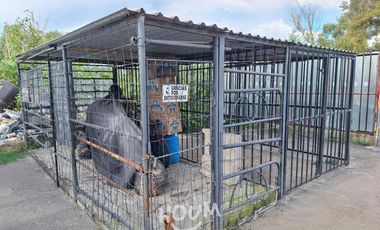 Departamento Predio el Molino ID: 159546