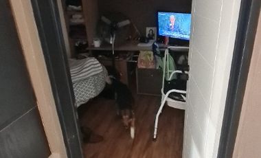 Departamento Tipo Casa en venta en Lanus Oeste