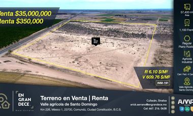 Terreno en Venta Renta con 1,100 mts. de frente a carretera en el Valle agrícola de Santo Domingo, Cd. Constitución, Comundú, BCS  VIC.INM191