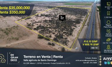 Terreno en Venta Renta con 1,100 mts. de frente a carretera en el Valle agrícola de Santo Domingo, Cd. Constitución, Comundú, BCS  VIC.INM191