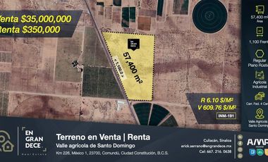 Terreno en Venta Renta con 1,100 mts. de frente a carretera en el Valle agrícola de Santo Domingo, Cd. Constitución, Comundú, BCS  VIC.INM191