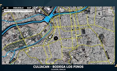 Bodega en Renta Culiacán Sinaloa Los Pinos Palacio de Gobierno VIC.INM117