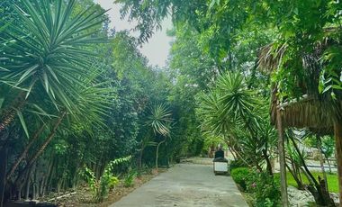 Casa en Venta en los Gonzales, los Siller, Saltillo, Coahuila, Vive el lujo y comfort de esta hermosa quinta sin alejarse de la ciudad.