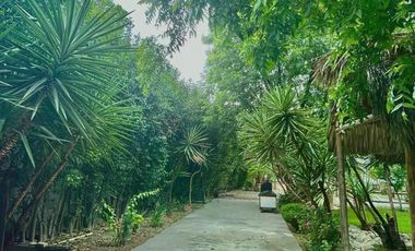 Casa en Venta en los Gonzales, los Siller, Saltillo, Coahuila, Vive el lujo y comfort de esta hermosa quinta sin alejarse de la ciudad.