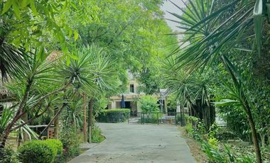 Casa en Venta en los Gonzales, los Siller, Saltillo, Coahuila, Vive el lujo y comfort de esta hermosa quinta sin alejarse de la ciudad.