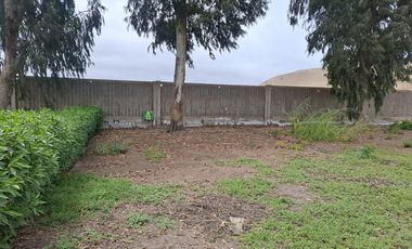 Terreno a la Venta en Cañete