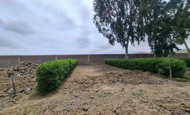 Terreno a la Venta en Cañete