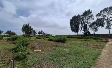 Terreno a la Venta en Cañete