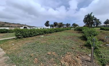 Terreno a la Venta en Cañete