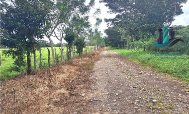 VENDO LOTES DE 5000MTS EN COCHEA ABAJO