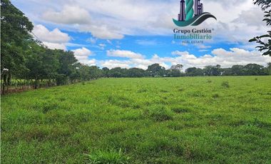 VENDO LOTES DE 5000MTS EN COCHEA ABAJO