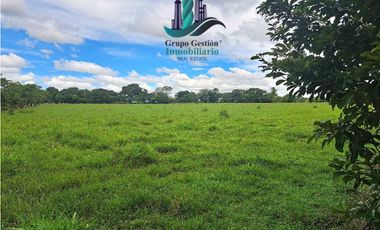 VENDO LOTES DE 5000MTS EN COCHEA ABAJO