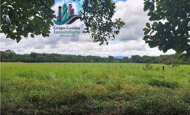 VENDO LOTES DE 5000MTS EN COCHEA ABAJO