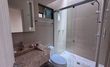 Constituyentes Luxury, Toluca