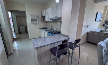 Constituyentes Luxury, Toluca