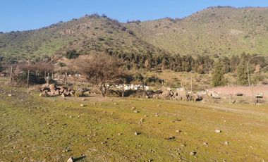Venta Terreno 2.500 m2 - La Florida