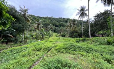 Tanah di Kerandangan dekat Senggigi