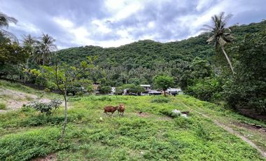 Tanah di Kerandangan dekat Senggigi